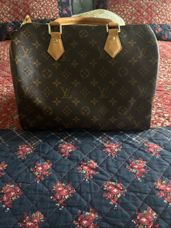 Louis Vuitton Handbags - Louis Vuitton Monogram Canvas Satchel in Brown and Tan